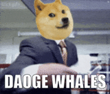 doge, mèmes, dogecoin, chien shiba inu, mème bitcoin doge