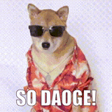 siba dog bodysuit, animal dog, dog clothes glasses