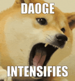 meme dog, dog meme, the dog was angry, shiba dog, shiba dog