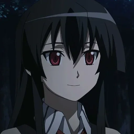 akame ga, акаме аниме, убийца акаме, убийца акаме аниме, убийца акаме акаме