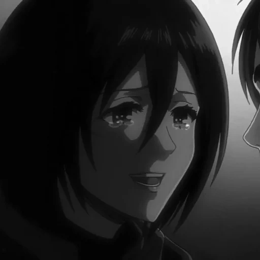 picture, attack of the titans, mikasa attack of the titans, mikas's titans attack eyes, mikas titans attack screenshots