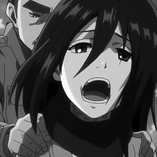 picture, attack of the titans, mikasa akkerman, mikasa attack of the titans, mikas ackerman titanes attack