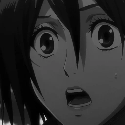 mikas attack, anime characters, mikasa akkerman, mikasa attack of the titans, mikasa akkerman screenshots