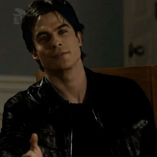 blood, brothers, blood brothers, damon salvatore, деймон сальваторе