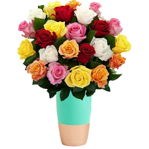 роза микс, роза микс колор, разноцветные розы, розы разных цветов, букет разноцветных роз