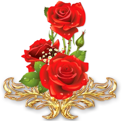 цветы, цветами надписями, открытки цветы розы, цветы красивые розы, на прозрачном фоне цветы