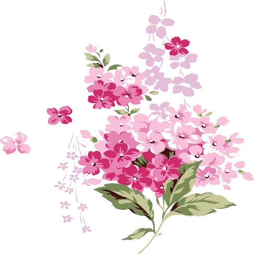 сирень цветы, розовая сирень, акварельные цветы, цветок прозрачном фоне, мелкие цветы прозрачном фоне