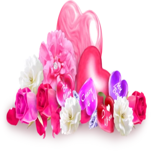 цветы, orchid flower, розовые туфли, цветок орхидея, цветы прозрачном фоне влюбленных