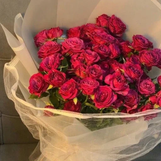 пионовидные розы, букет красных роз, роза кустовая марун, пионовидные кустовые розы, 51 кустовая роза мисти баблс