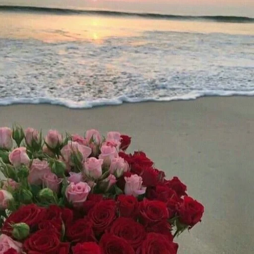 море, океан букет, красивые цветы, розы берегу моря, инстинкт самосохранения