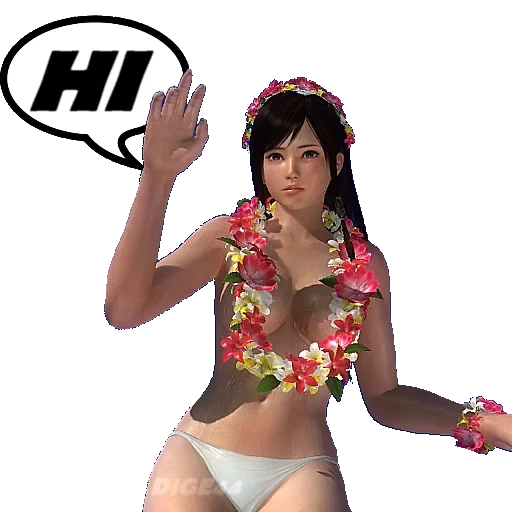 paquet, hitomi doa, mort ou vivant 4, tekken 7 mannequin, mort ou vivant xtreme 3 nyotengu