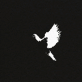 darkness, black background, the silhouette of the eagle, white crow, hollywood anded emblem