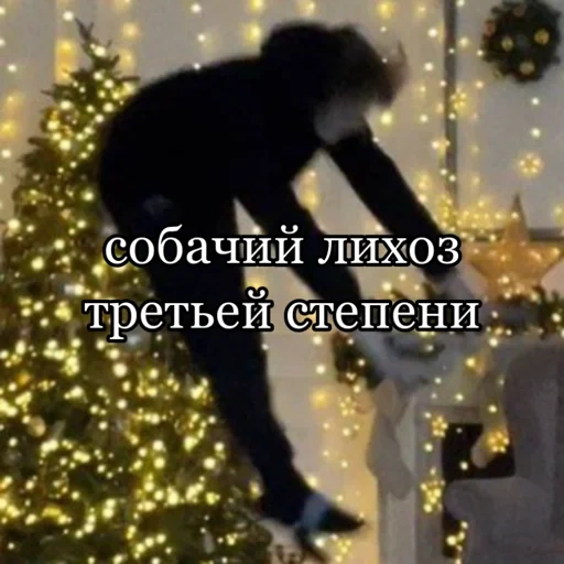 dog, christmas tree, dog new year, cat christmas tree funny, the black cat dropped the christmas tree