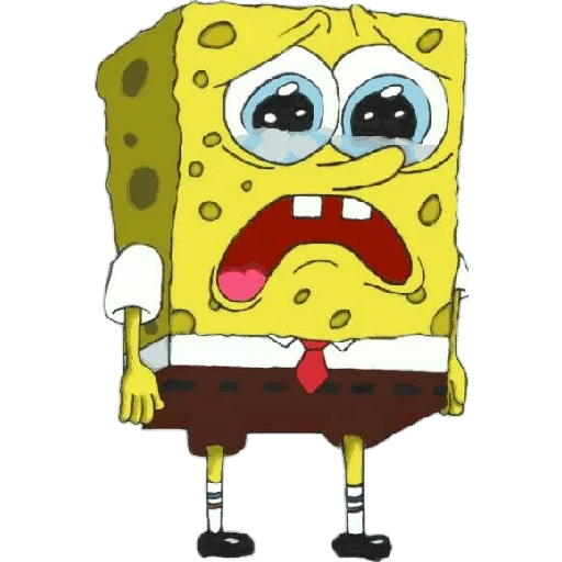 spongebob, dear sponge bob, the sponge bean is sad, smurled sponge bob, sponge bob square pants