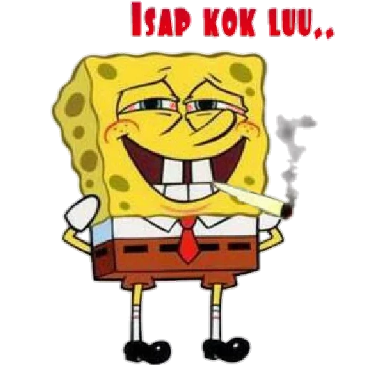 spongebob, spongebob, teman spange bob, bob sponge yang ditubrukan, spongebob squarepants