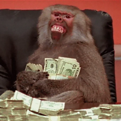обезьяна с деньгами, деньги, мартышка с деньгами, обезьяна в офисе, обезьяна