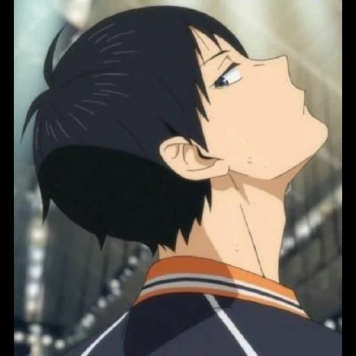 deer mountain, luyama tomo, asmr of kageyama tobio, cartoon cartoon volleyball, cartoon mountain volleyball animation