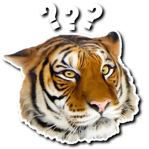 la tigre, bocca di tigre, digel vachapu, tigre vasapu, tigre realistica