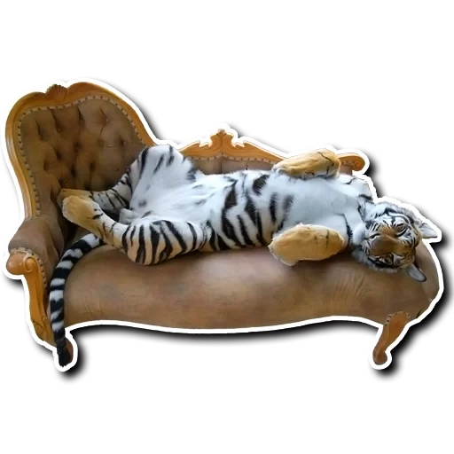animals, domestic tiger, stripe flight, tiger sleeping carpet, movie stripe flight