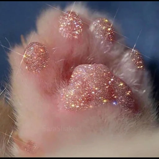 piede, paw cat, zampe rosa, piede del gatto, estetica rosa