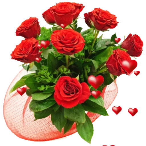цветы тебя, красная роза, букеты цветов, букет розы красные, цветы днем рождения