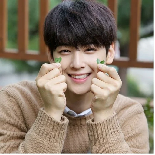 eunwoo, ли хён у, cha eun woo, однофамильцы, ча ыну astro