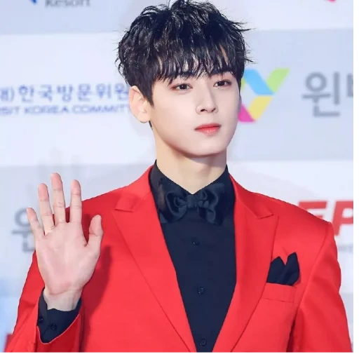 cha eun, cha eun woo, cha eunwoo, cha eun woo, aktor korea