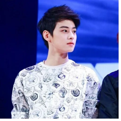 cha eun woo, famoso cantante, actor coreano, actor coreano