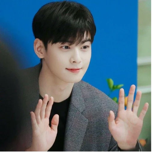 eunwoo, chaun wooo, attori della corea, attori coreani, attrice coreana