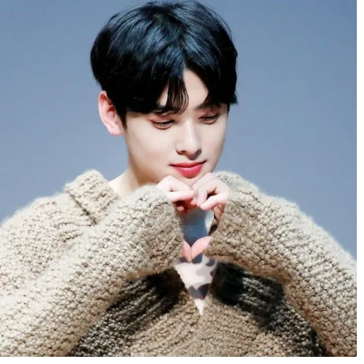 eunwoo, chaun wooo, acteurs coréens, coréens, beaux mecs corée