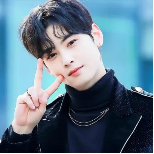 eunwoo, enuastro, cha eun woo, cha eun woo astro, pria tampan korea