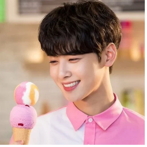 cha eun woo, aktor korea, aktor es krim korea