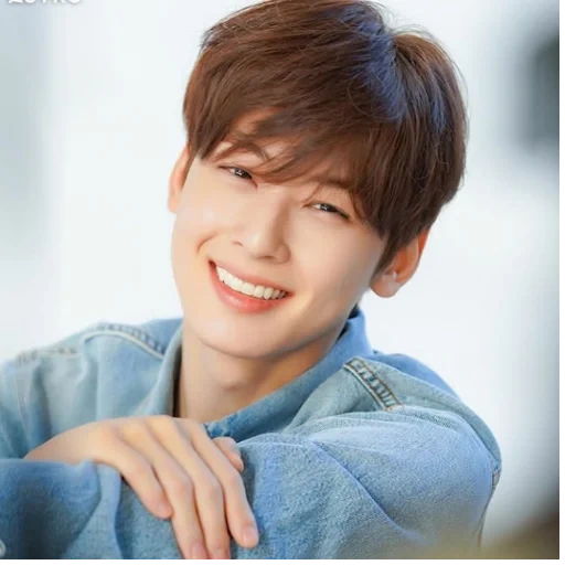 singer, li jun, cha eun woo, korean actor