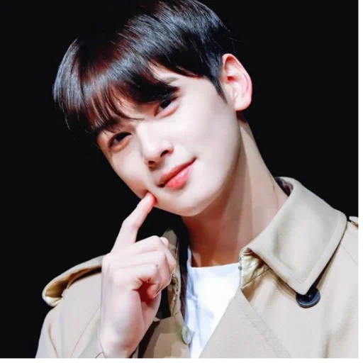 penyanyi, cha eunwoo, zheng zhongguo, cha eun woo, aktor korea