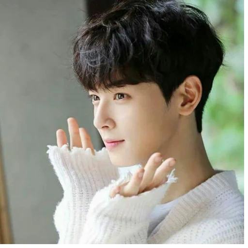 cha enyu, cha eun woo, korean actor, astro cha eun woo, korean men's style