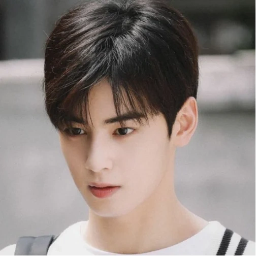 cha eun woo, cha eun woo, potongan rambut korea, aktor korea, orang korea rambut hitam