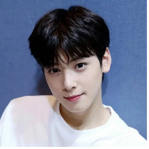 actor, cha enyu, cha eun woo, korean actor, korean actor