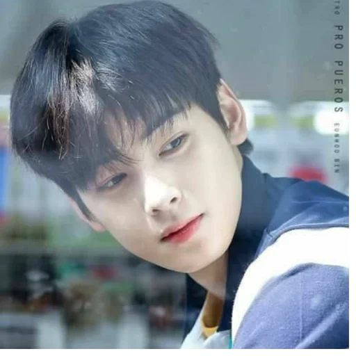 cha eun woo, cui yongjun, brother cha enyu, korean boy, korean actor