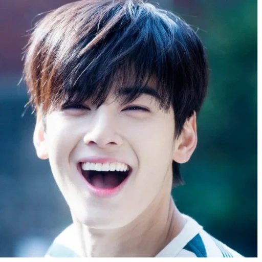 actor and singer, cha eun woo, the actors are all beautiful, che enyu smiles, korean actor