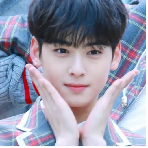 eunwoo, cha eunwoo, cha eun woo, golden yeh han wei, chico guapo