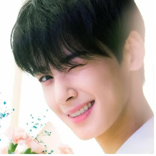 чха ын у, ли дон мин, cha eun woo, корейские актеры, cha eunwoo сердитый