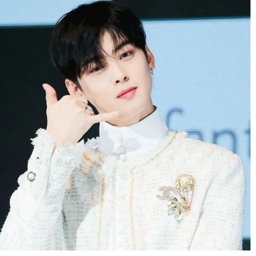 айдолы, ыну astro, cha eun woo, ча ыну astro, чха ын у 2019 пресс