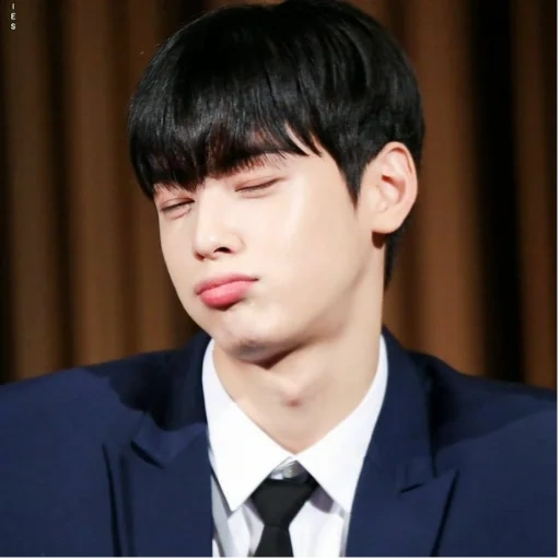 cha eun woo, pria korea, aktor korea, pria korea