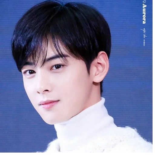 eunwoo, ча ыну, cha eun woo, корейские актеры, astro ыну чонгук