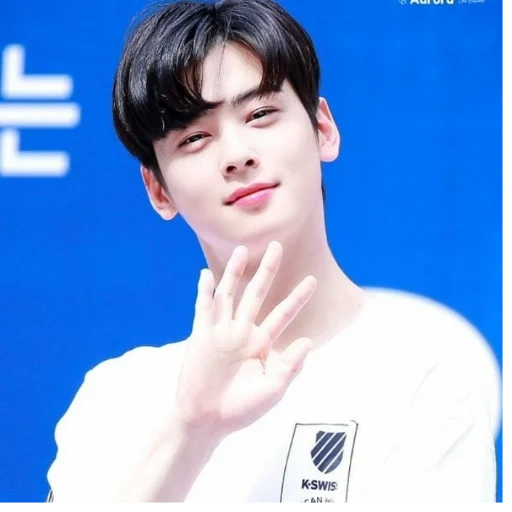 eunwoo, chaun wooo, acteurs de la corée, acteurs coréens, coupe dix-sept