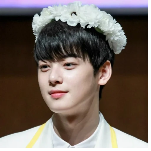 eun woo, cha eun woo, cha eun woo, aktor korea, sakelar sakelar astro