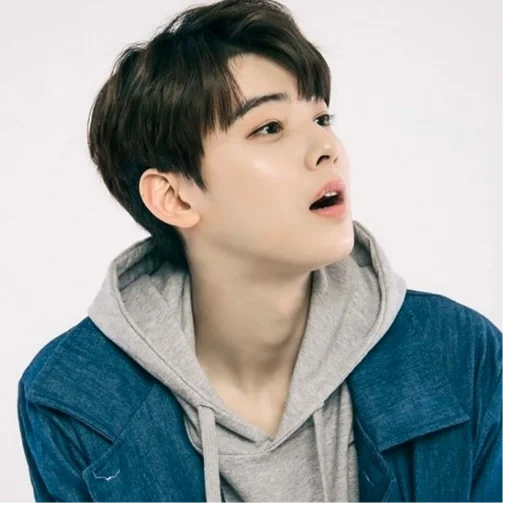 eunwoo, dry exo, cha eun woo, harta karun yongbin, aktor korea