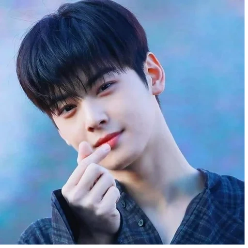 che ennu, questionnaire, cha eun woo, korean actor