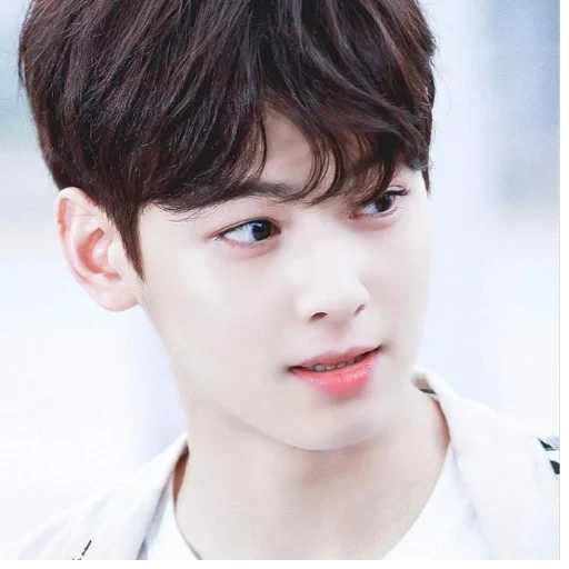 actor, cha enyu, cha eun woo, korean actor, korean actor