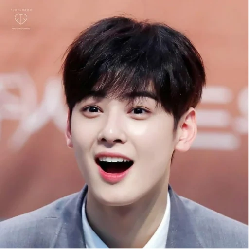 orang asia, cha eun woo, aktor korea, kakak hwang min hyun